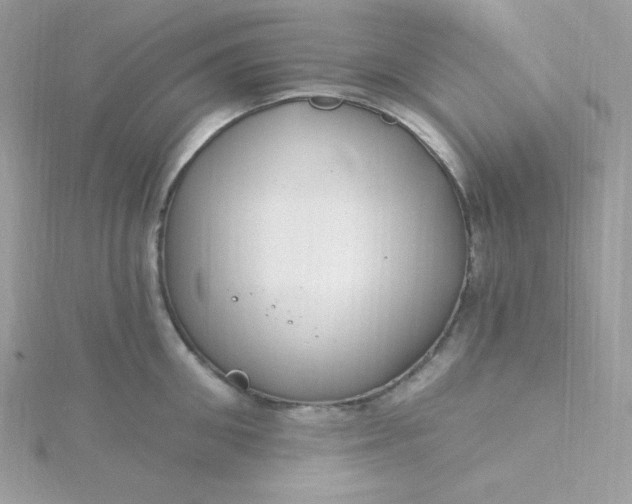 X0000115830906200911271157