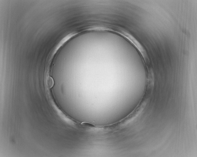 X0000115830909200911271157