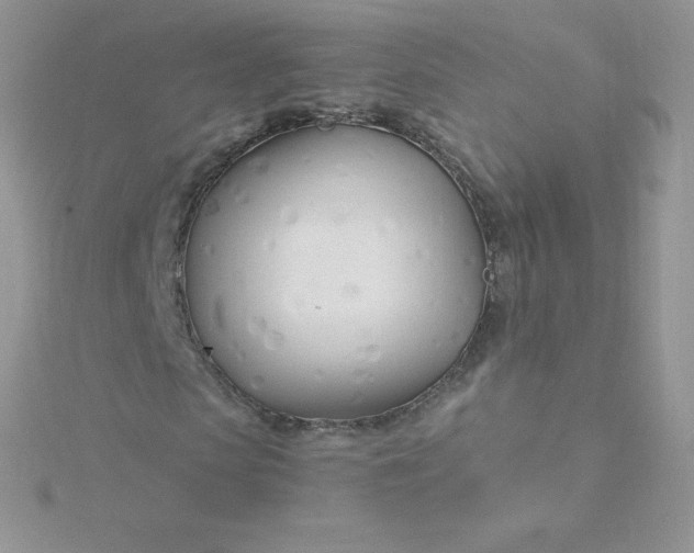 X0000115830913200911271156