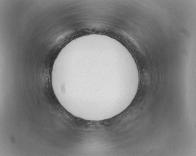 X0000115830918200911271156