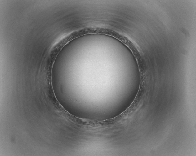 X0000115830919200911271156