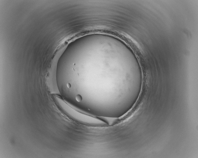 X0000115830921200911271156