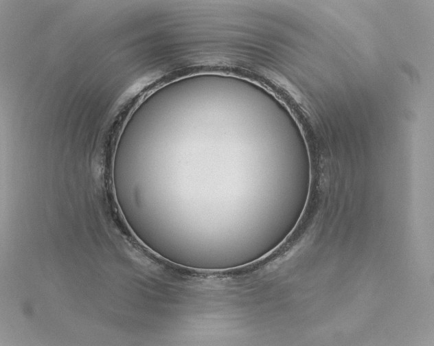 X0000115830922200911271156