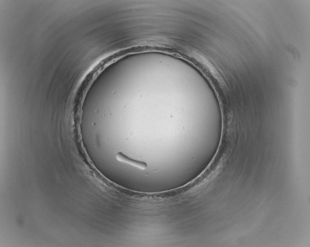 X0000115830923200911271156