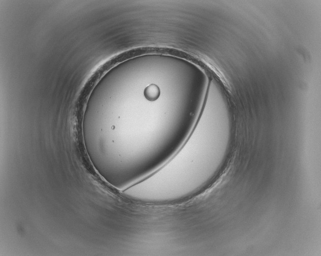 X0000115830926200911271156