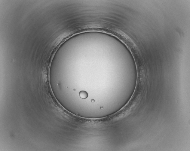 X0000115830929200911271156