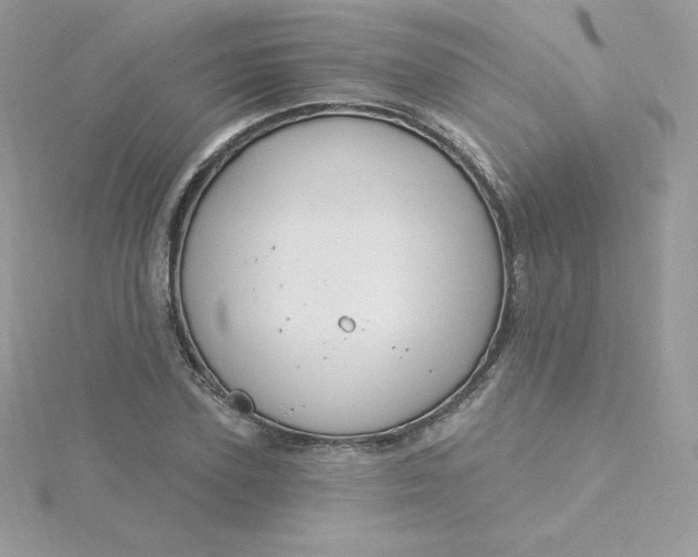 X0000115830931200911271156