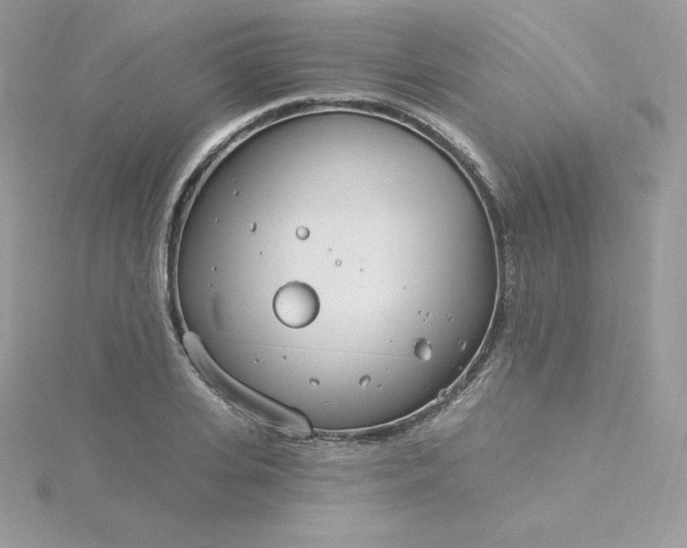 X0000115830935200911271156