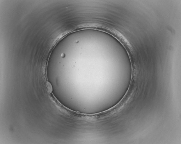 X0000115830937200911271156