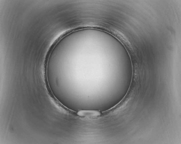 X0000115830942200911271156