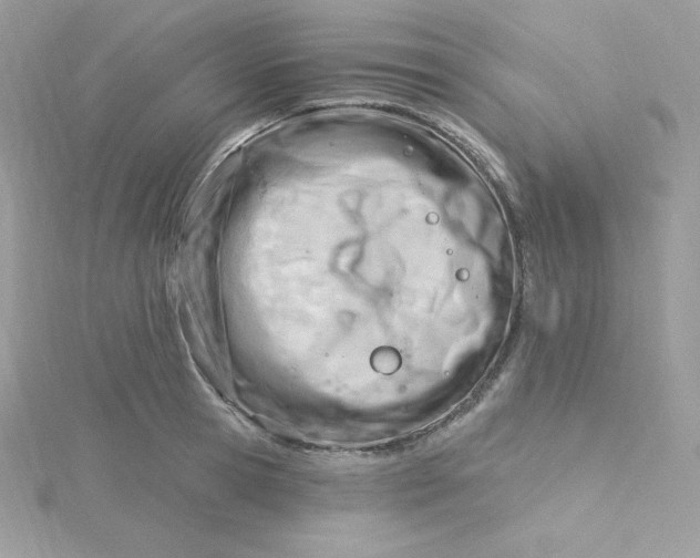 X0000115830945200911271156