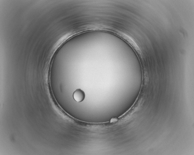 X0000115830946200911271156