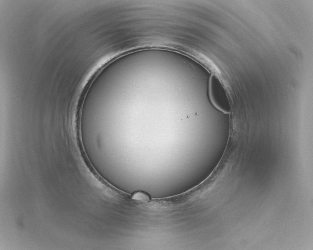 X0000115830947200911271156