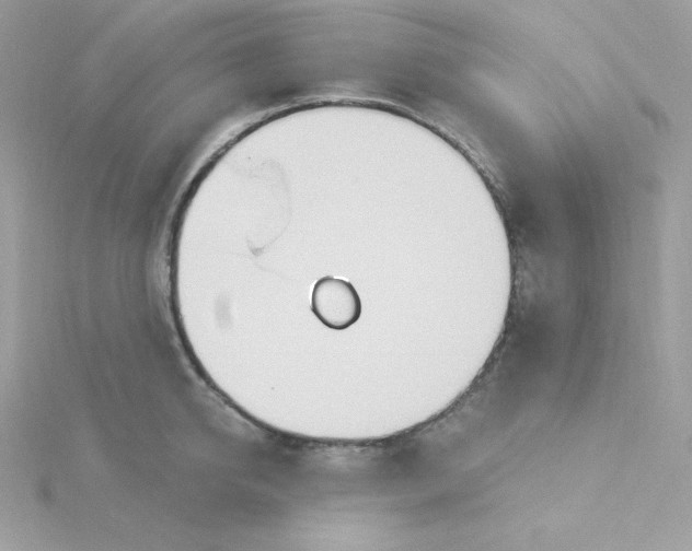 X0000115830950200911271156