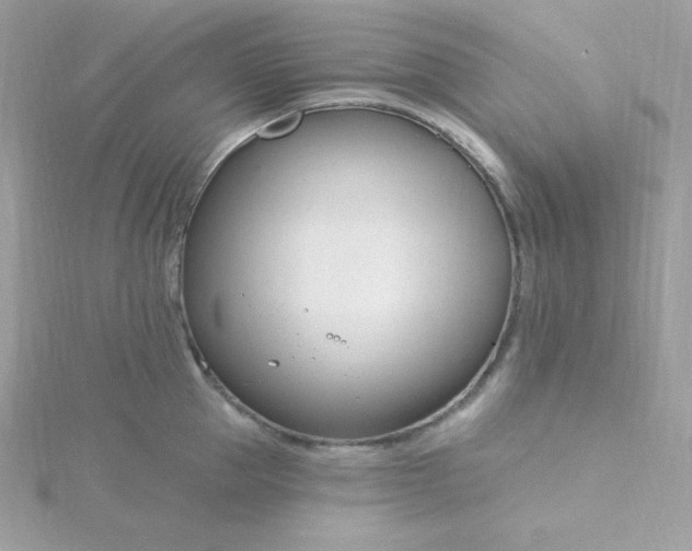 X0000115830953200911271156