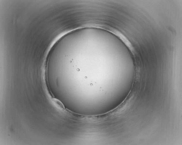 X0000115830955200911271157