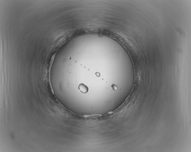 X0000115830964200911271156