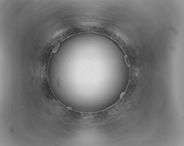 X0000115830965200911271156