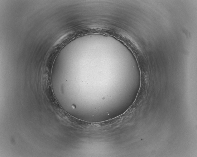 X0000115830968200911271156