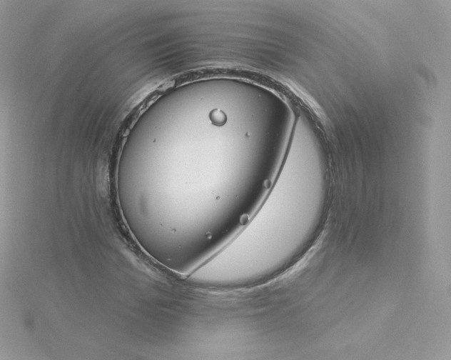 X0000115830969200911271156