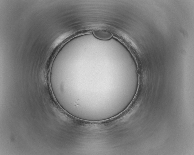 X0000115830970200911271156