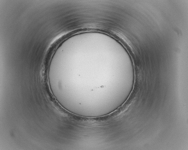 X0000115830971200911271156