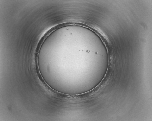 X0000115830972200911271156