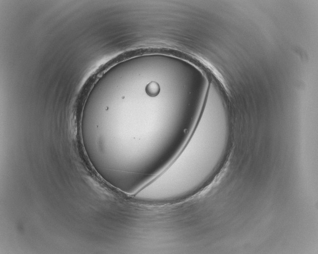 X0000115830973200911271156