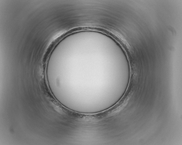 X0000115830974200911271155