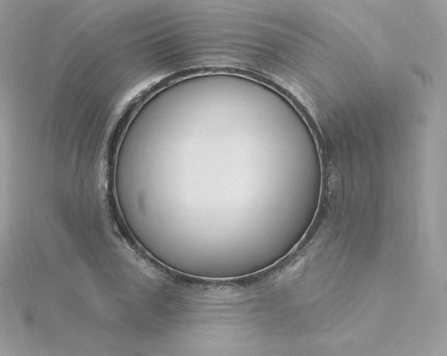 X0000115830979200911271155