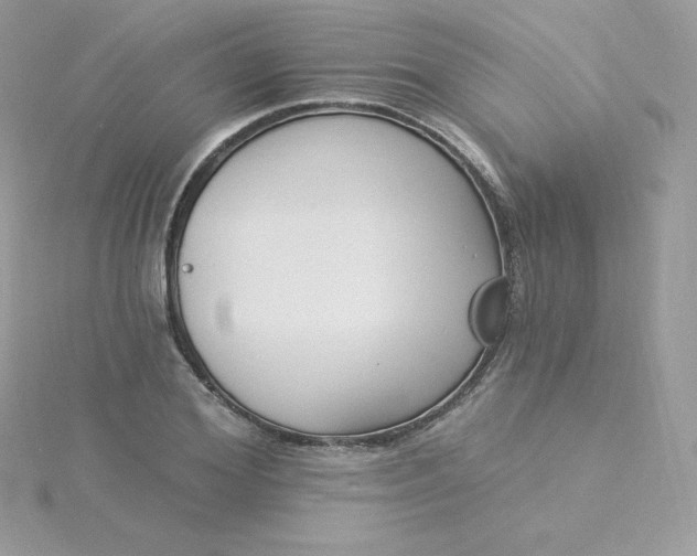 X0000115830980200911271155