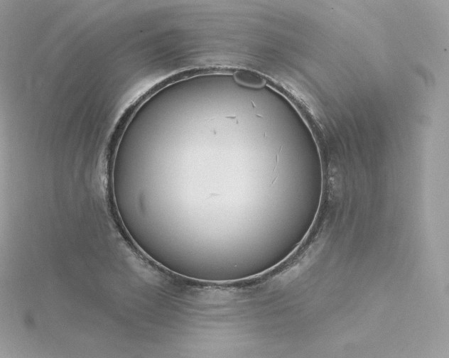 X0000115830981200911271155