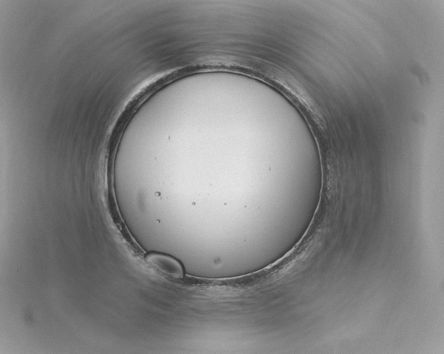 X0000115830984200911271155