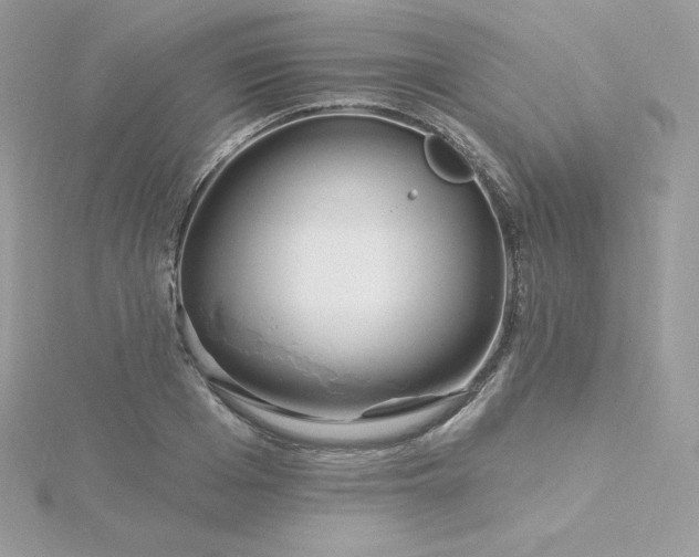 X0000115830985200911271155