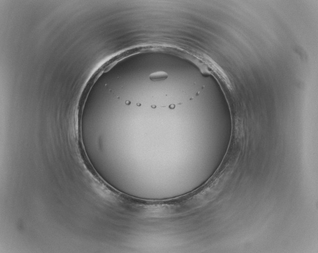 X0000115830988200911271155