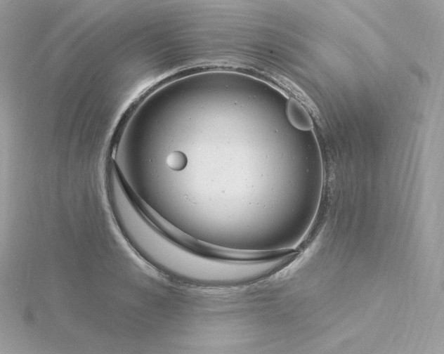 X0000115830989200911271155