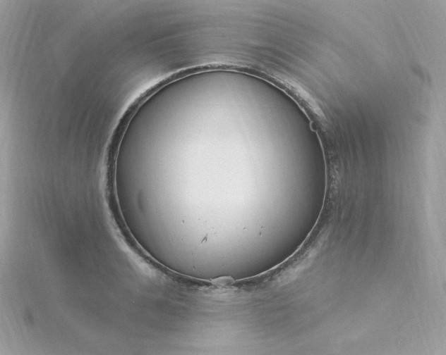 X0000115830991200911271155