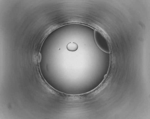 X0000115830993200911271155