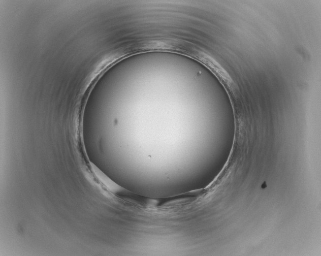 X0000115830994200911271155