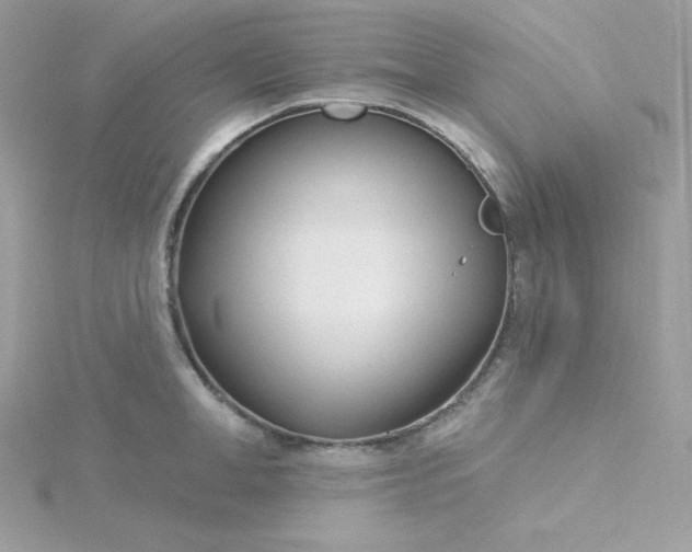 X0000115830998200911271155