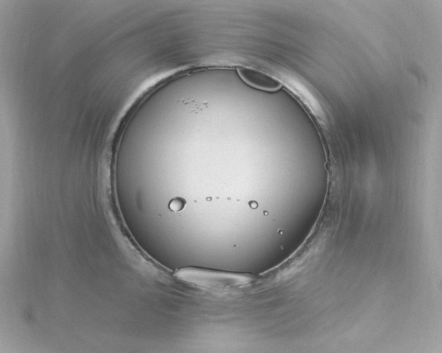 X0000115831000200911271155