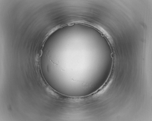 X0000115831001200911271155