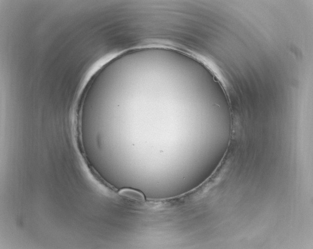 X0000115831003200911271155