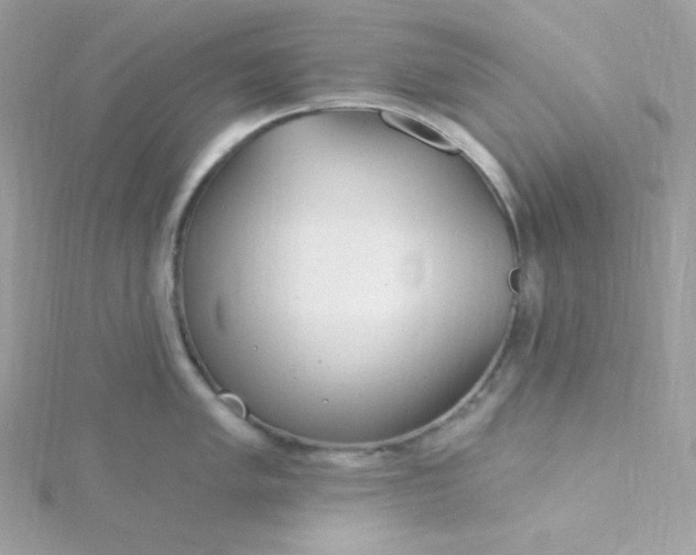 X0000115831005200911271155