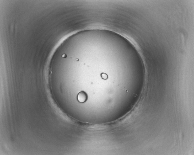 X0000115831008200911271155