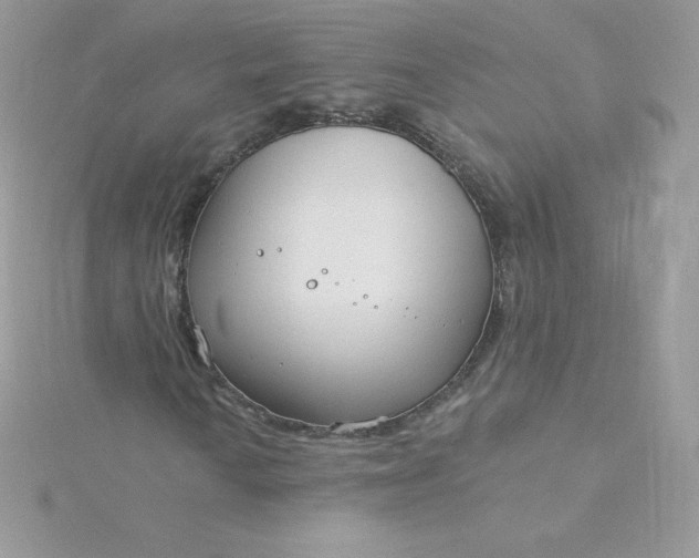 X0000115831010200911271154