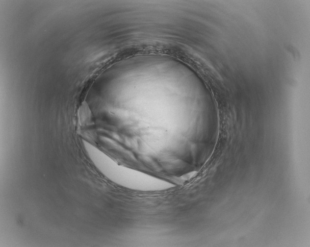 X0000115831013200911271154