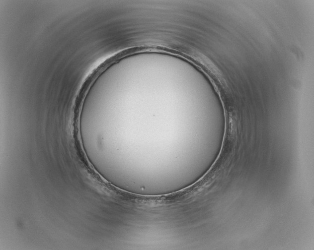 X0000115831020200911271155