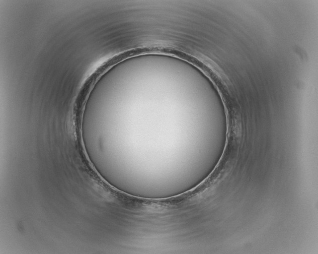 X0000115831022200911271155