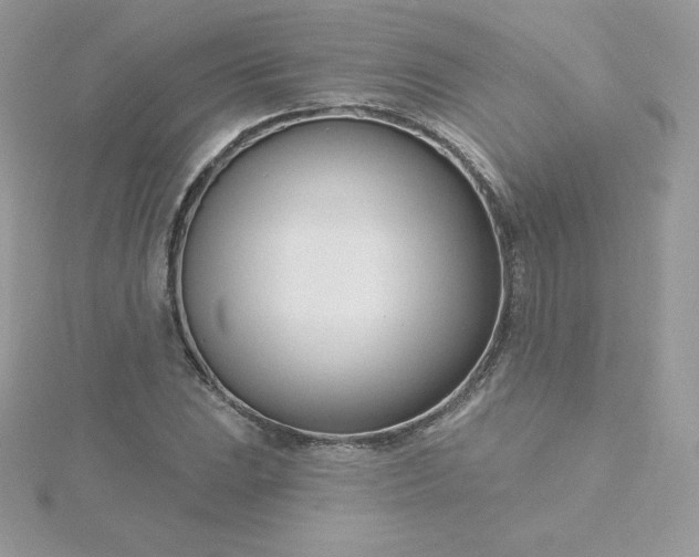 X0000115831023200911271155